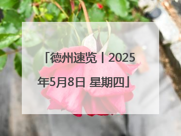 德州速览丨2025年5月8日 星期四