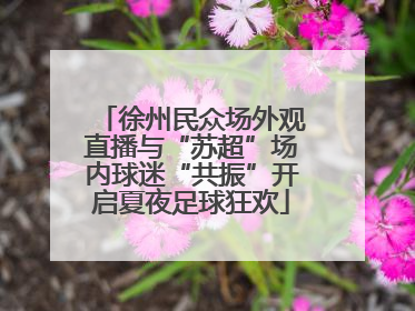 徐州民众场外观直播与“苏超”场内球迷“共振”开启夏夜足球狂欢