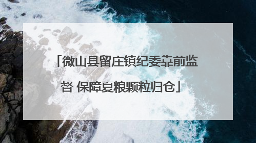 微山县留庄镇纪委靠前监督 保障夏粮颗粒归仓