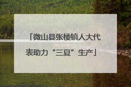 微山县张楼镇人大代表助力“三夏”生产