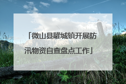 微山县驩城镇开展防汛物资自查盘点工作