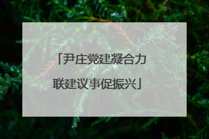 尹庄党建凝合力 联建议事促振兴