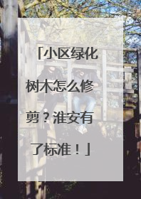 小区绿化树木怎么修剪？淮安有了标准！