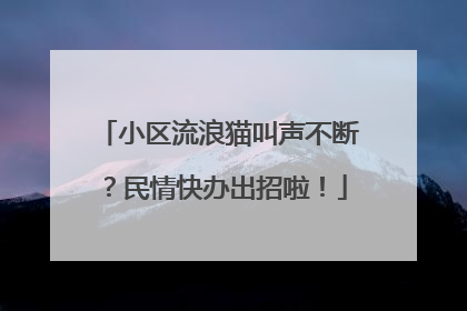小区流浪猫叫声不断？民情快办出招啦！
