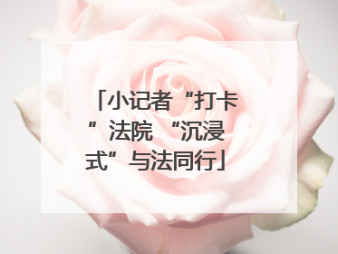 小记者“打卡”法院 “沉浸式”与法同行