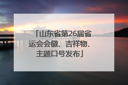 山东省第26届省运会会徽、吉祥物、主题口号发布