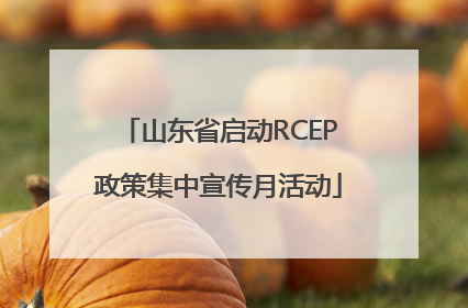 山东省启动RCEP政策集中宣传月活动