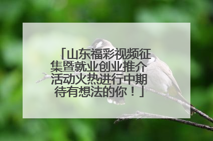 山东福彩视频征集暨就业创业推介活动火热进行中期待有想法的你！