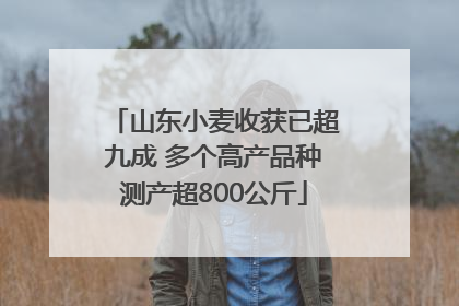 山东小麦收获已超九成 多个高产品种测产超800公斤