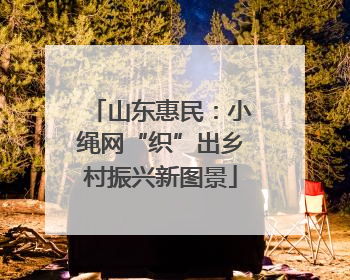 山东惠民：小绳网“织”出乡村振兴新图景