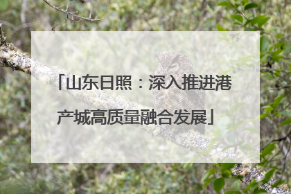 山东日照：深入推进港产城高质量融合发展