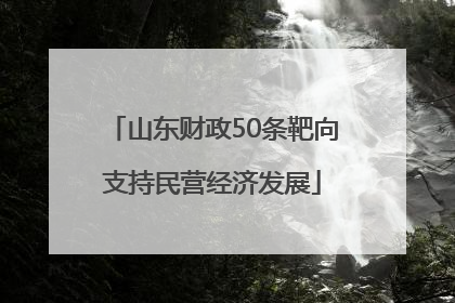 山东财政50条靶向支持民营经济发展