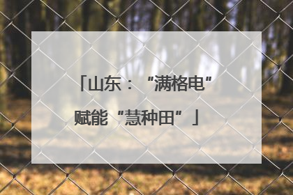 山东：“满格电”赋能“慧种田”