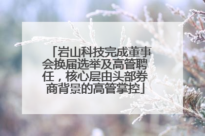 岩山科技完成董事会换届选举及高管聘任，核心层由头部券商背景的高管掌控