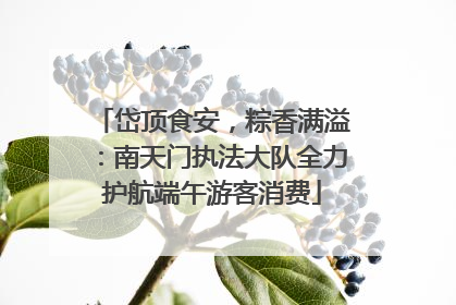 岱顶食安，粽香满溢：南天门执法大队全力护航端午游客消费
