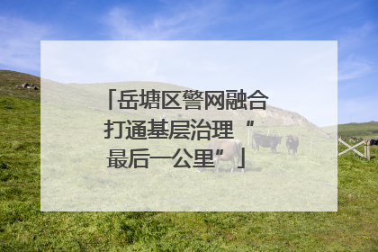 岳塘区警网融合 打通基层治理“最后一公里”