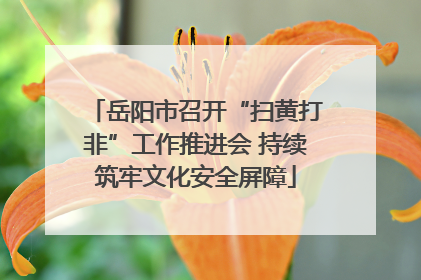 岳阳市召开“扫黄打非”工作推进会 持续筑牢文化安全屏障