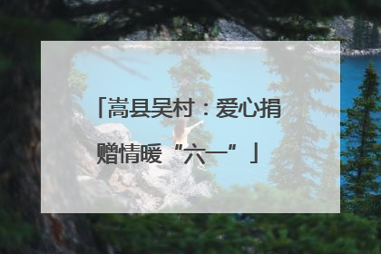 嵩县吴村：爱心捐赠情暖“六一”