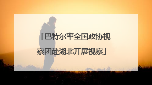 巴特尔率全国政协视察团赴湖北开展视察