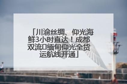 川渝丝绸、仰光海鲜3小时直达！成都双流⇌缅甸仰光全货运航线开通