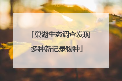 巢湖生态调查发现多种新记录物种