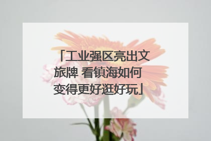 工业强区亮出文旅牌 看镇海如何变得更好逛好玩