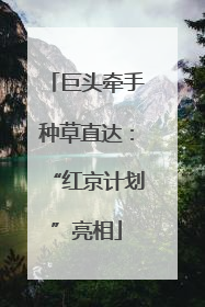 巨头牵手种草直达：“红京计划”亮相