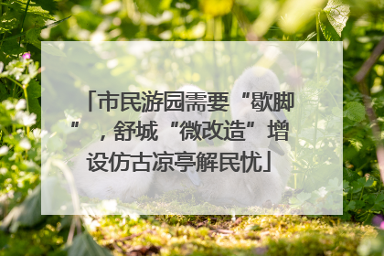 市民游园需要“歇脚”，舒城“微改造”增设仿古凉亭解民忧