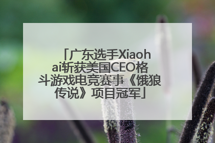 广东选手Xiaohai斩获美国CEO格斗游戏电竞赛事《饿狼传说》项目冠军