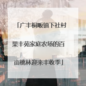 广丰桐畈镇下社村果丰苑家庭农场的百亩桃林迎来丰收季