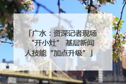 广水：资深记者现场“开小灶” 基层新闻人技能“加点升级”