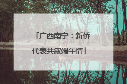 广西南宁：新侨代表共叙端午情