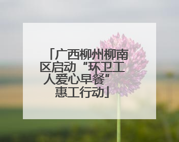 广西柳州柳南区启动“环卫工人爱心早餐” 惠工行动