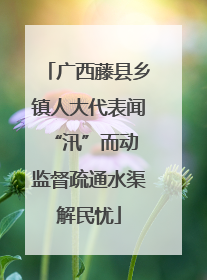 广西藤县乡镇人大代表闻“汛”而动 监督疏通水渠解民忧