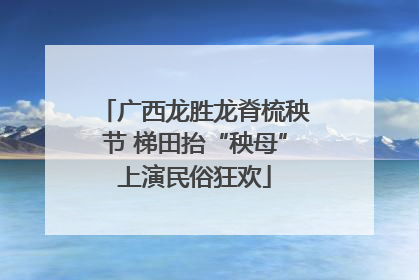 广西龙胜龙脊梳秧节 梯田抬“秧母”上演民俗狂欢