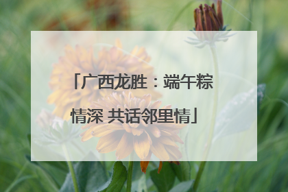广西龙胜：端午粽情深 共话邻里情