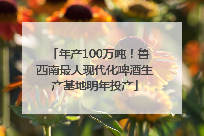 年产100万吨！鲁西南最大现代化啤酒生产基地明年投产