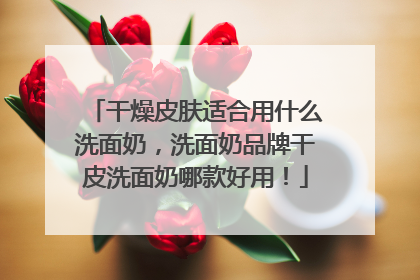 干燥皮肤适合用什么洗面奶，洗面奶品牌干皮洗面奶哪款好用！