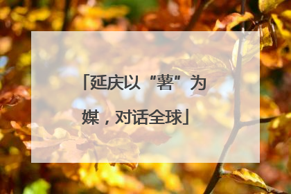 延庆以“薯”为媒，对话全球