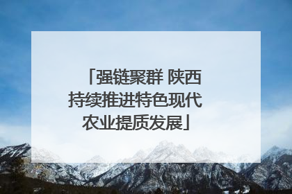 强链聚群 陕西持续推进特色现代农业提质发展