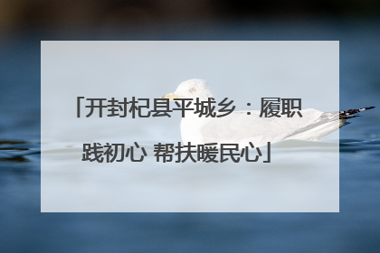 开封杞县平城乡：履职践初心 帮扶暖民心