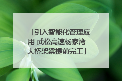 引入智能化管理应用 武松高速杨家湾大桥架梁提前完工