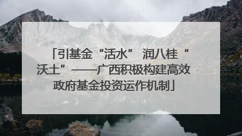 引基金“活水” 润八桂“沃土”——广西积极构建高效政府基金投资运作机制