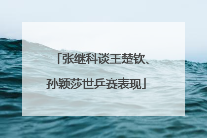 张继科谈王楚钦、孙颖莎世乒赛表现