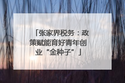 张家界税务：政策赋能育好青年创业“金种子”