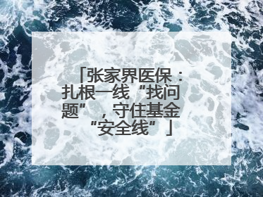 张家界医保：扎根一线“找问题”，守住基金“安全线”