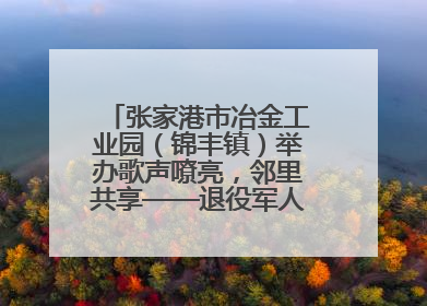 张家港市冶金工业园（锦丰镇）举办歌声嘹亮，邻里共享——退役军人音乐分享会