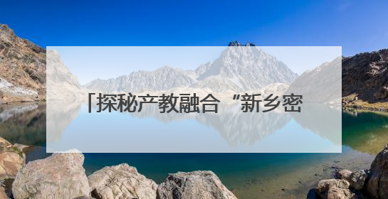 探秘产教融合“新乡密码” 一所职业院校如何激活区域创新DNA
