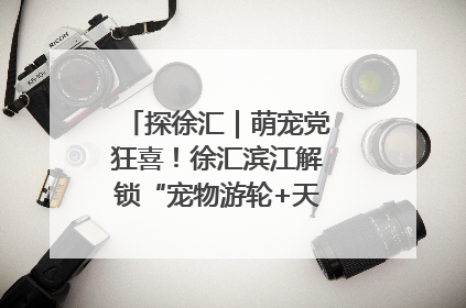 探徐汇｜萌宠党狂喜！徐汇滨江解锁“宠物游轮+天台乐园”双玩法