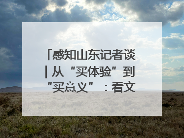 感知山东记者谈｜从“买体验”到“买意义”：看文旅繁荣背后的幸福新定义